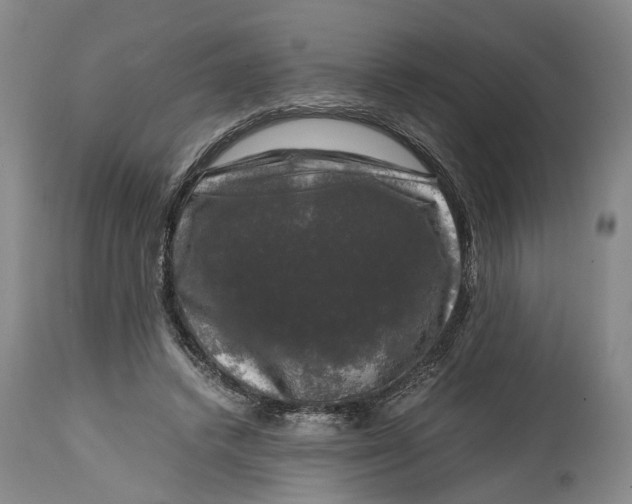 X0000115100448200911171244