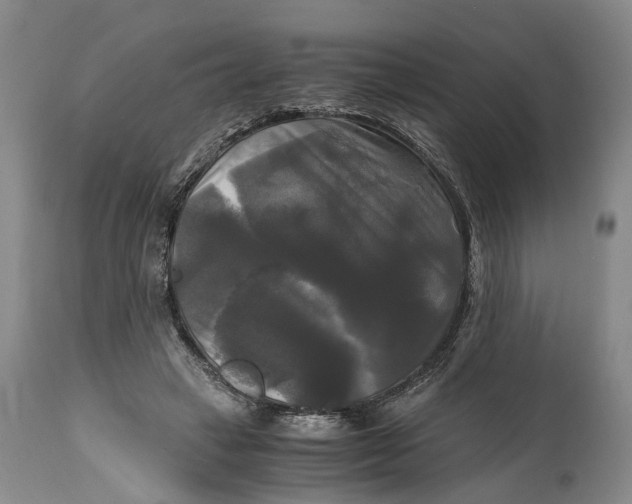 X0000115100449200911171244