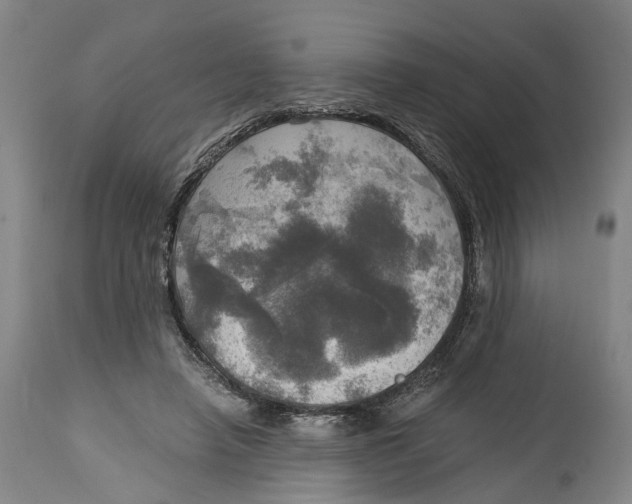 X0000115100450200911171244