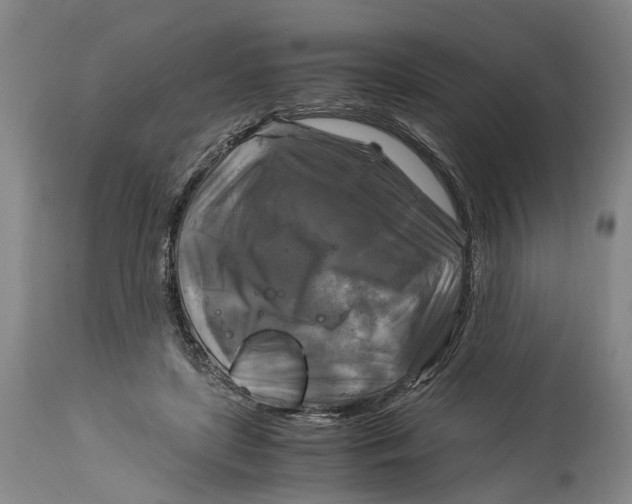 X0000115100451200911171245