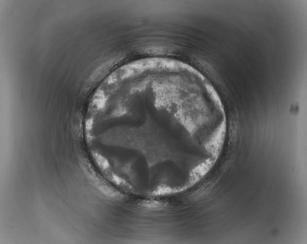 X0000115100453200911171245