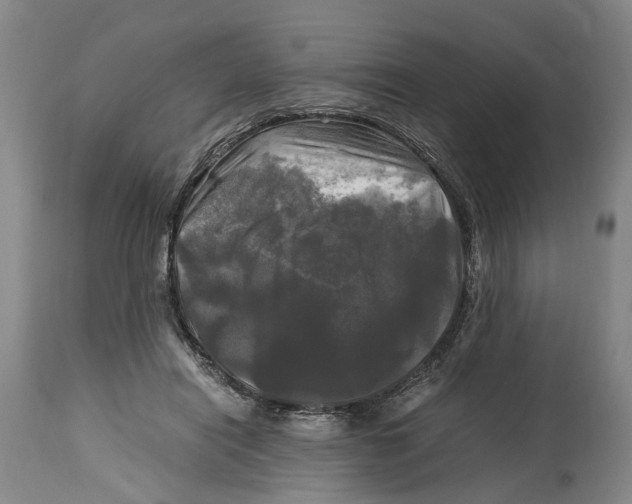 X0000115100454200911171245