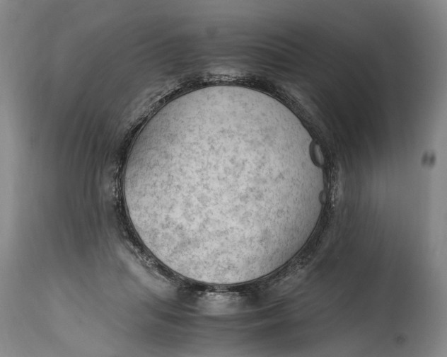 X0000115100455200911171245