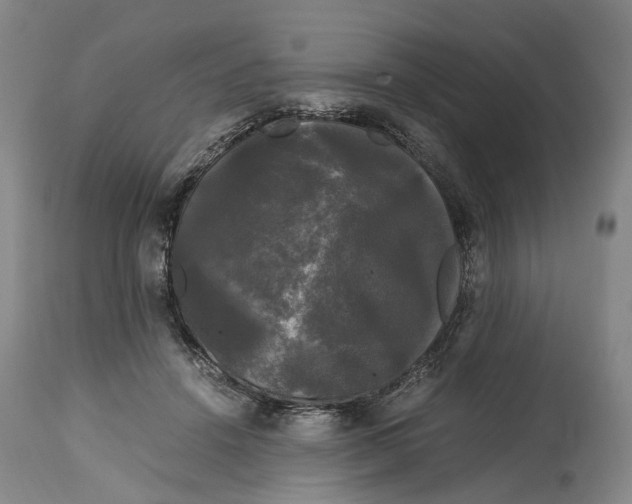 X0000115100456200911171245