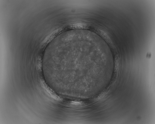 X0000115100457200911171245