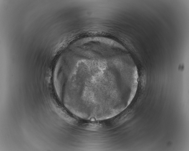 X0000115100458200911171245