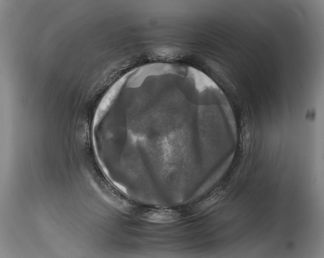 X0000115100459200911171245