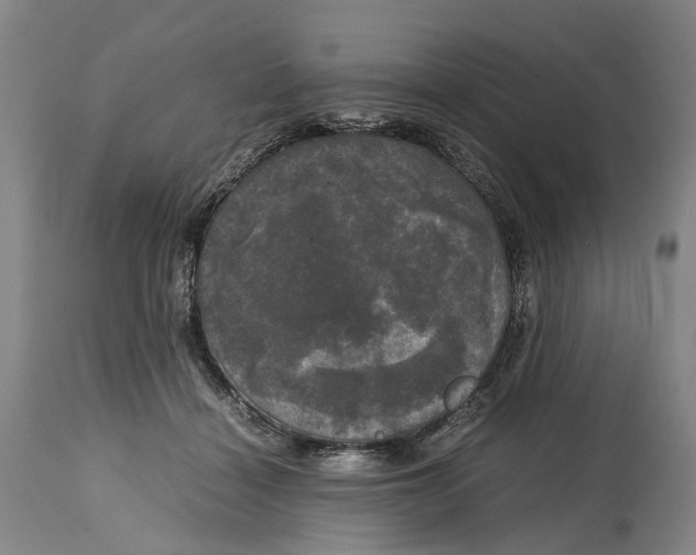 X0000115100460200911171245