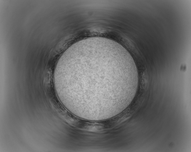 X0000115100463200911171245