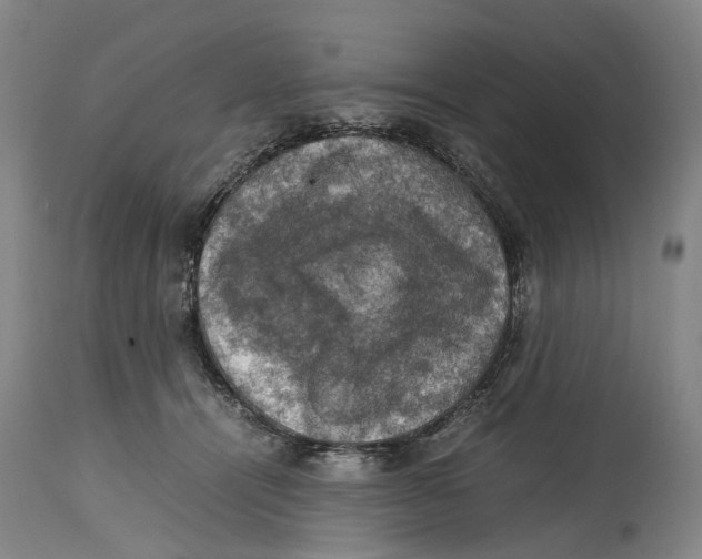 X0000115100464200911171245