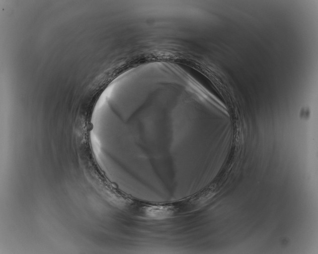 X0000115100465200911171245