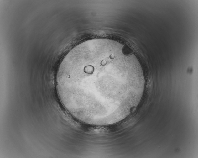 X0000115100466200911171245