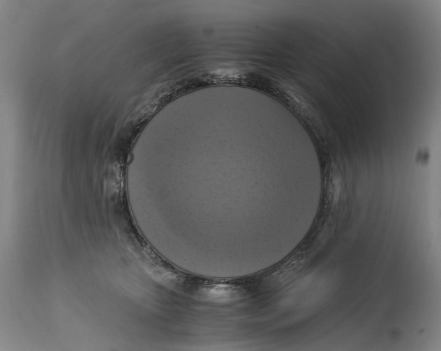 X0000115100467200911171245