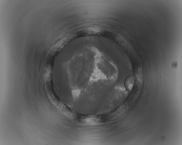 X0000115100468200911171245