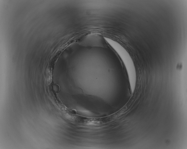 X0000115100471200911171245