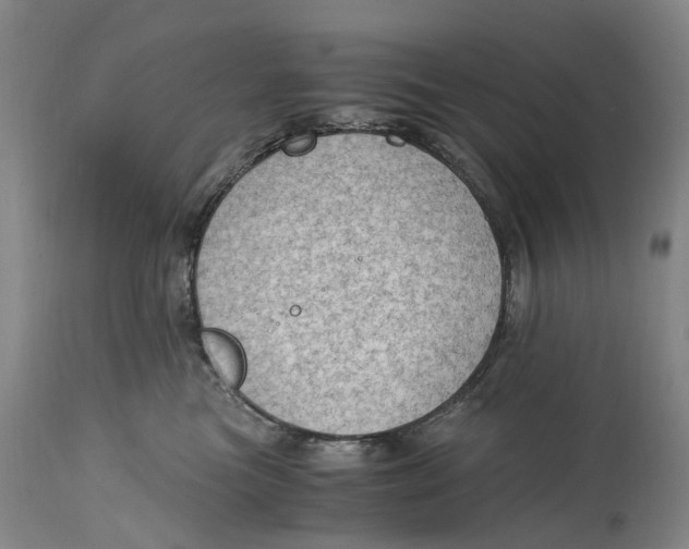 X0000115100473200911171245