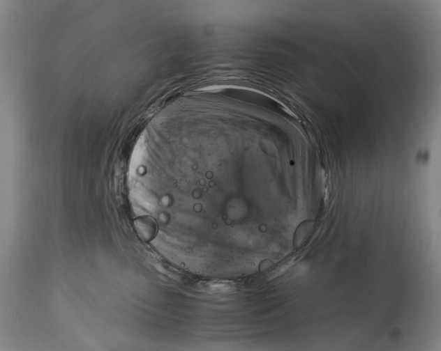 X0000115100475200911171245