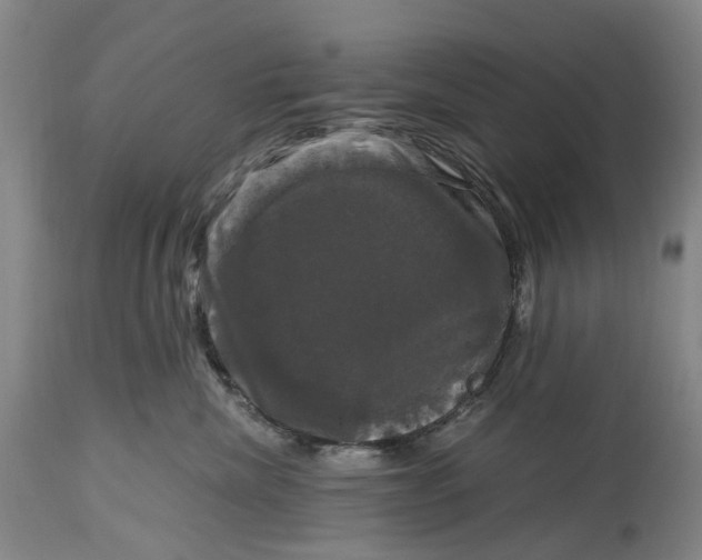 X0000115100476200911171245