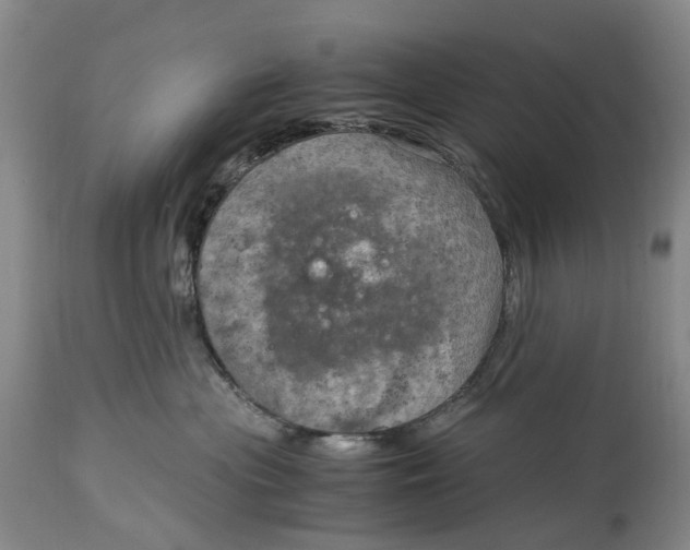 X0000115100477200911171245