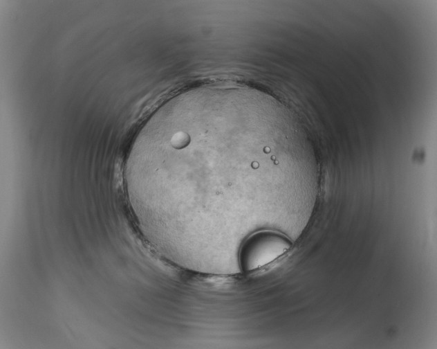 X0000115100478200911171245