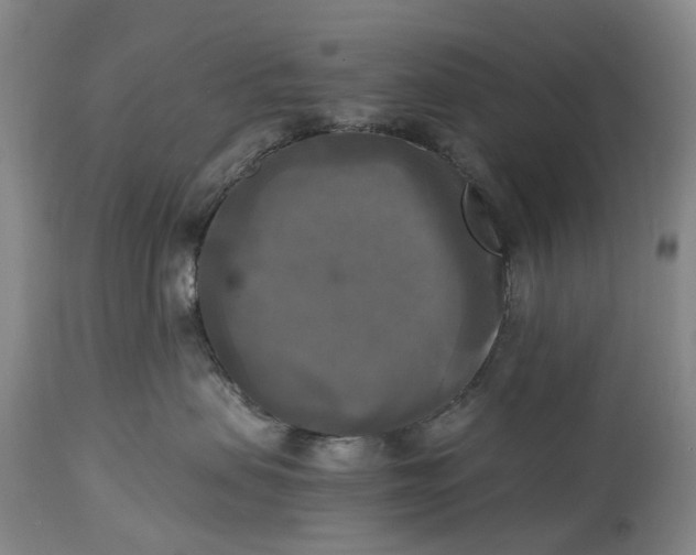 X0000115100479200911171245