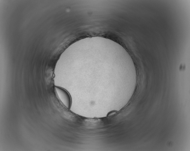 X0000115100480200911171245