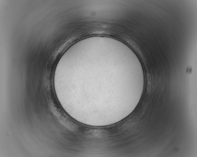 X0000115100482200911171244