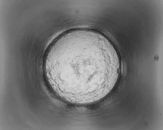 X0000115100483200911171244