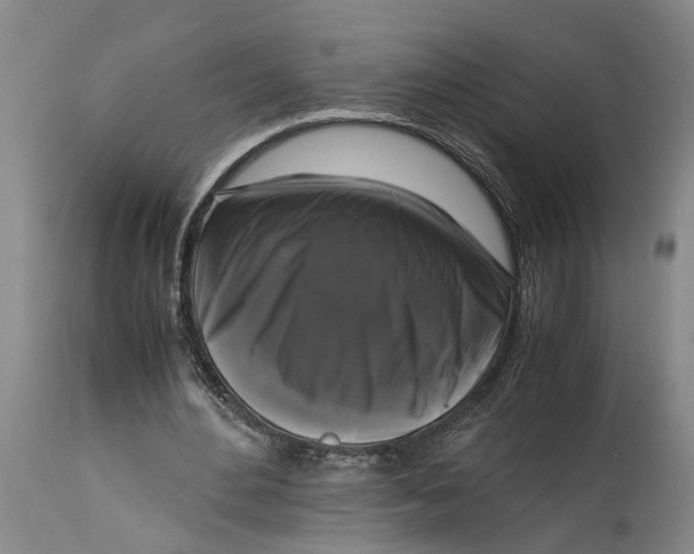 X0000115100484200911171244