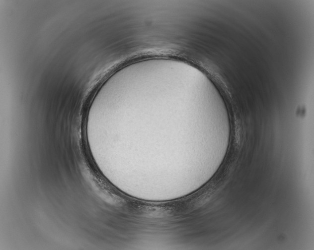 X0000115100486200911171244