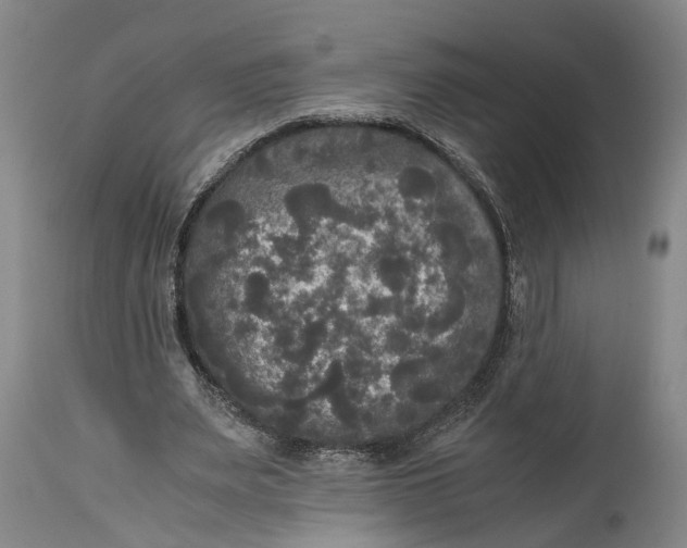 X0000115100487200911171244