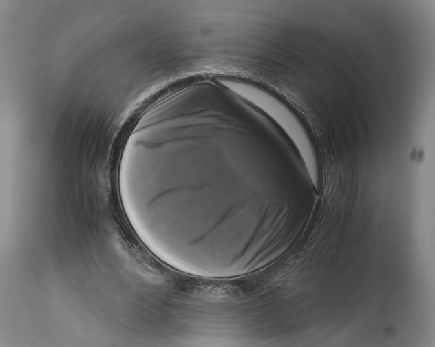 X0000115100488200911171244