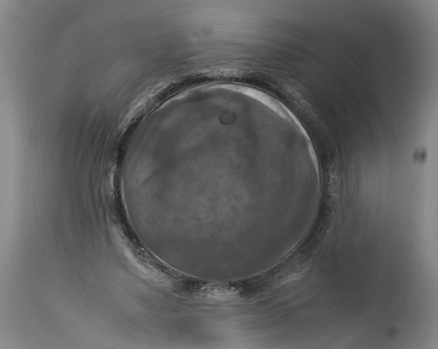 X0000115100491200911171244