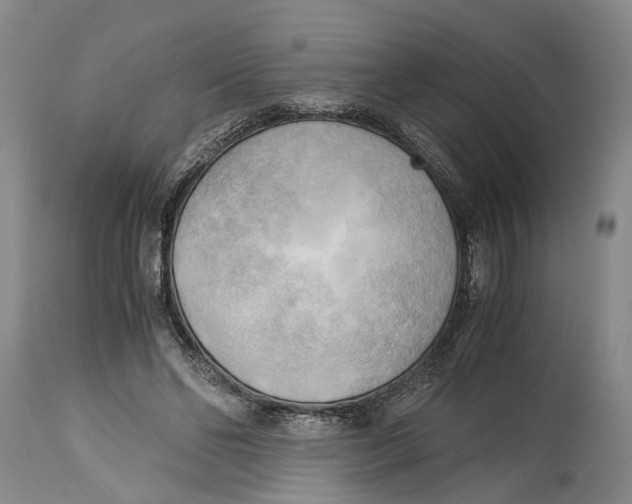 X0000115100494200911171244