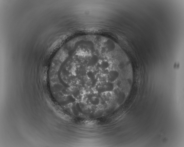 X0000115100495200911171244