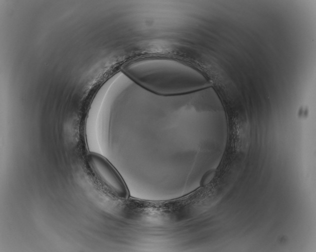 X0000115100496200911171244