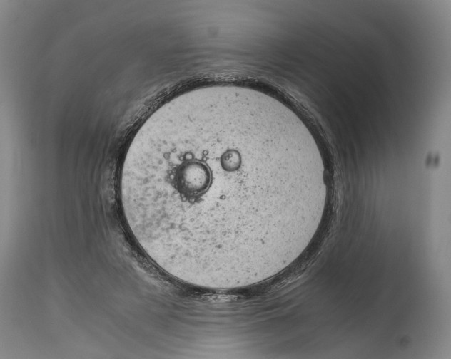 X0000115100497200911171244