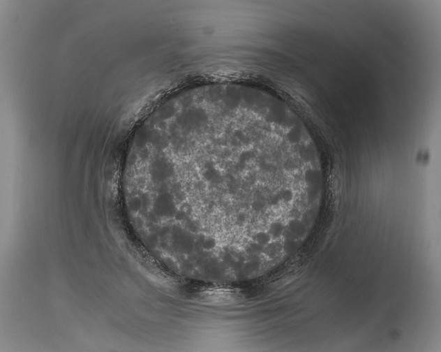 X0000115100499200911171244