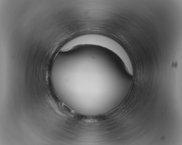 X0000115100500200911171244