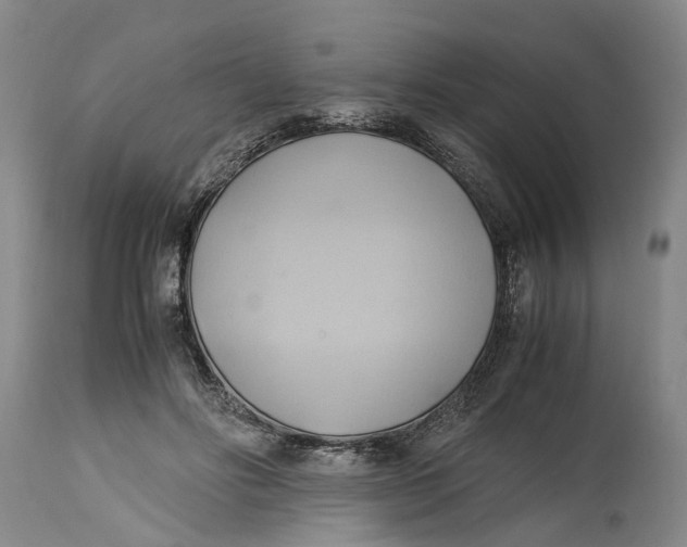 X0000115100502200911171244