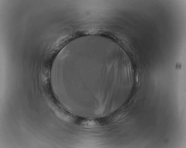 X0000115100503200911171244