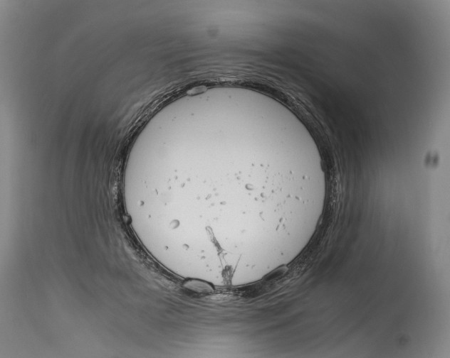 X0000115100505200911171244