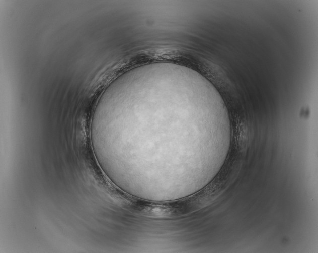 X0000115100506200911171244