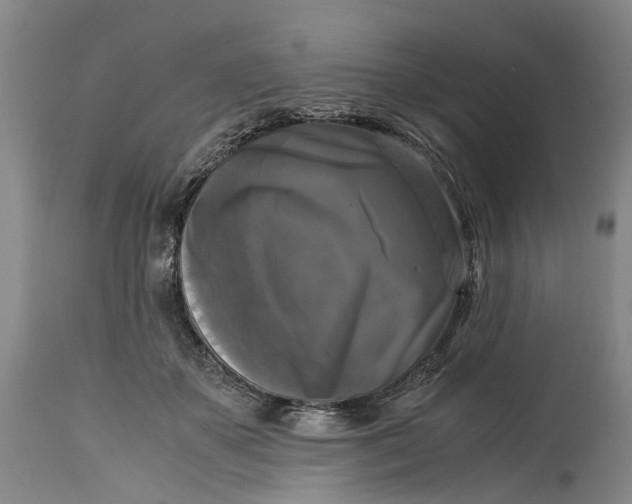 X0000115100507200911171244