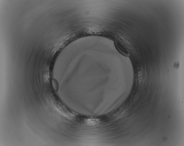 X0000115100508200911171244