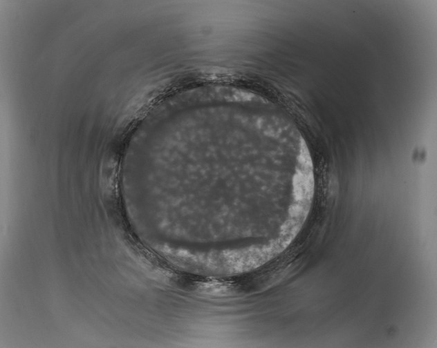 X0000115100511200911171244