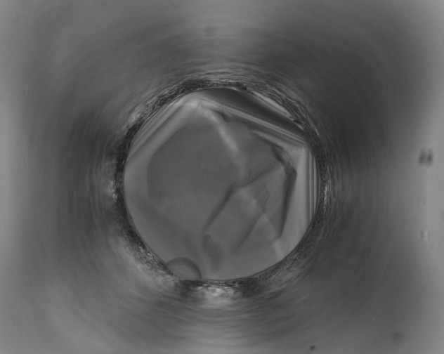 X0000115100512200911171244