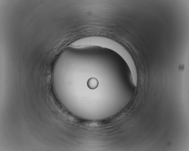 X0000115100513200911171244