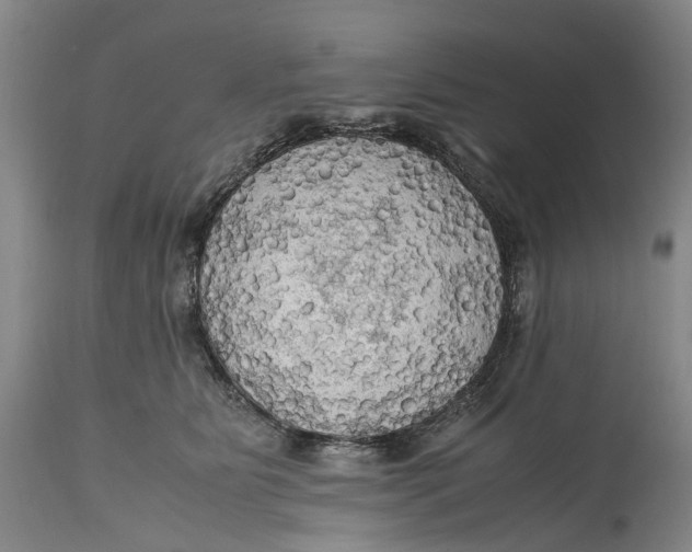 X0000115100515200911171244