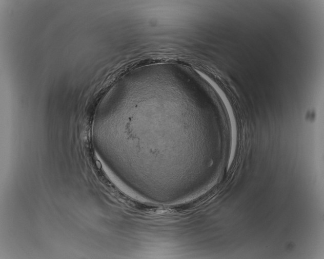 X0000115100517200911171244